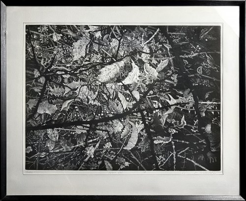 Kolce, 1982, Andrzej Bielawski