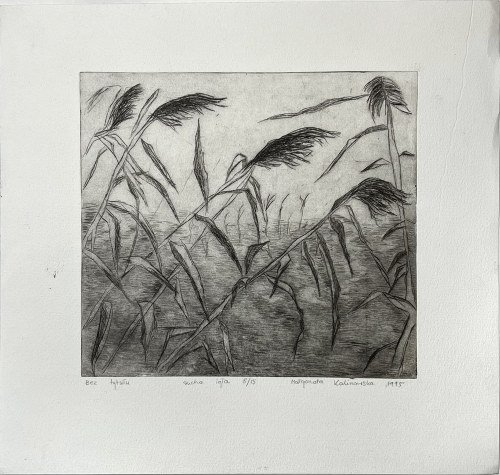 Bez tytułu, 1995 (8/15), Małgorzata Kalinowska