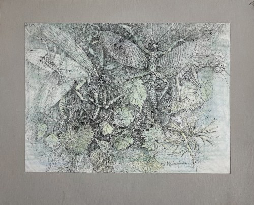 Owady, Maria Bierzyńska-Rydzewska