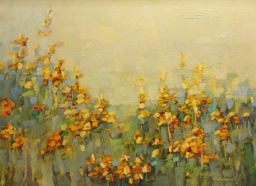 Łąka, Anna Cichocka