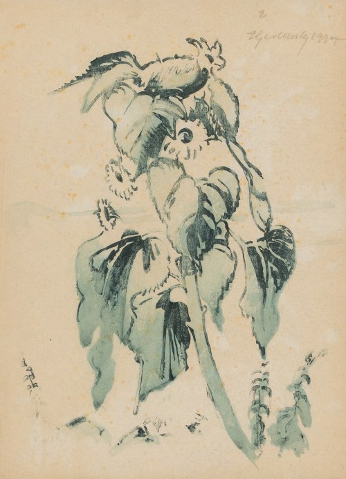 Słoneczniki, 1924, Zdzisław Gedliczka