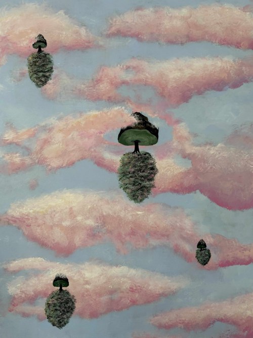 Mushrooms, 2025, Weronika Sobecka
