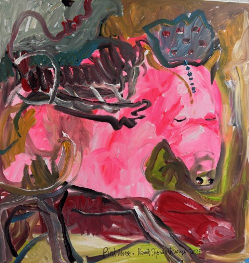 Pink horse, 2025, Kamila Stefania Tkaczyk