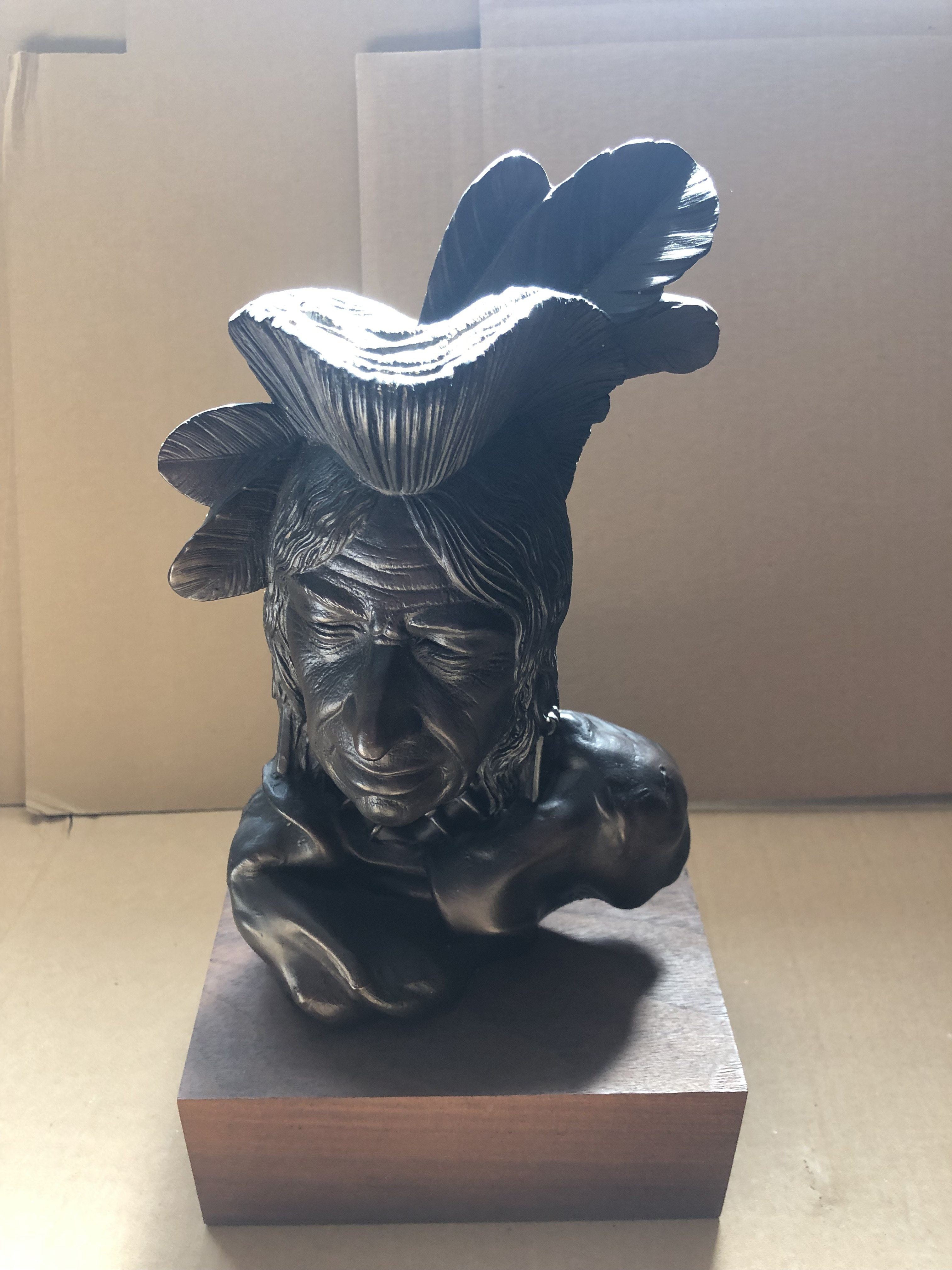 Arnold Goldstein (att.), Indianin, 1978