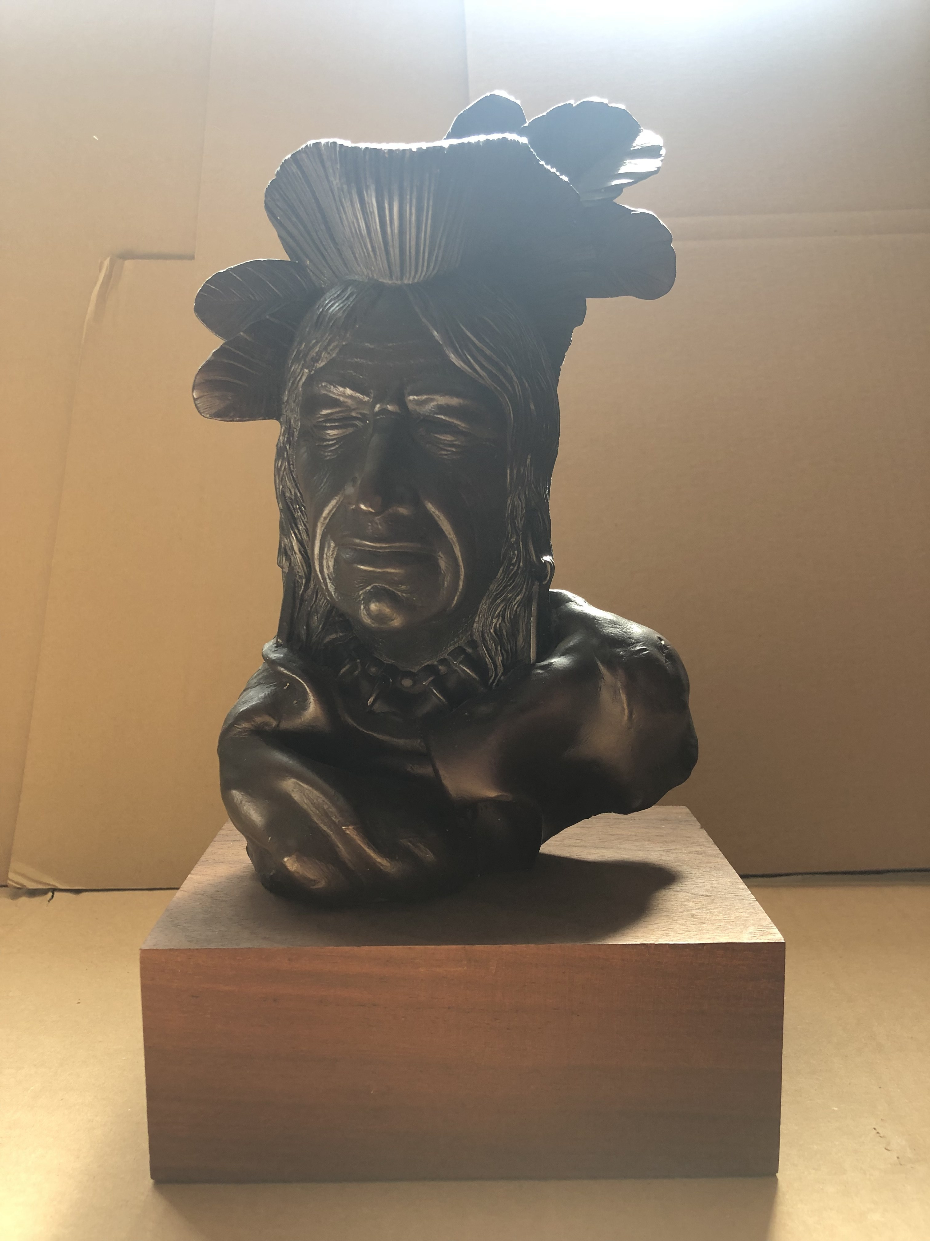 Arnold Goldstein (att.), Indianin, 1978