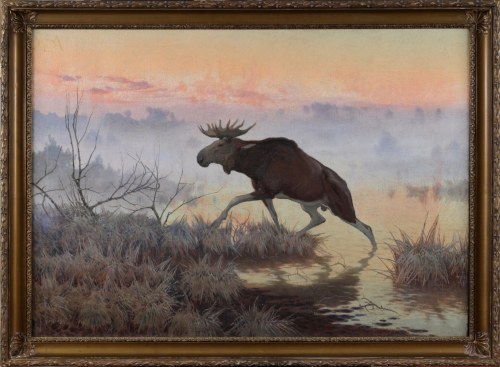 "Łoś na bagnach", Jan Grubiński
