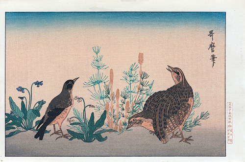 Przepiórka i skowronek, z serii: Wiesze dopasowane do niezliczonych ptaków, wyd. Oedo Mokuhansha, Tokio/Japonia, okres Showa, po 1960 r., Kitagawa Utamaro