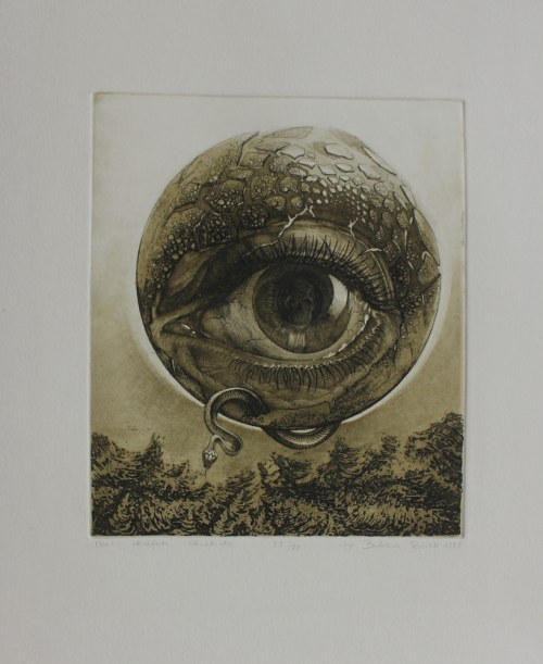 Oko, Barbara Rosiak