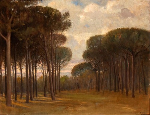 drewno sosnowe Fregene, Napoleone Parisani