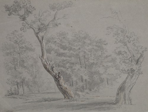 Las, 1 poł. XIX w., Johann Georg von Dillis