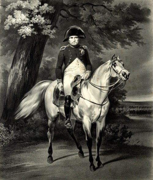 Napoleon na koniu, Horace Vernet