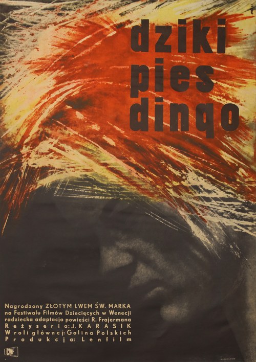 Dziki pies Dingo, 1963, Maurycy Stryjecki