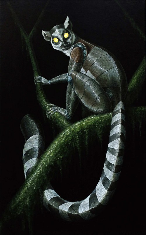 Lemur katta, 2025, Emil Goś