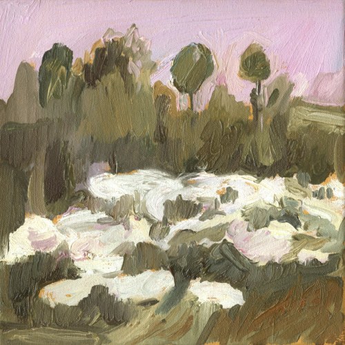 Rumianki, 2008, Barbara Bokota-Tomala
