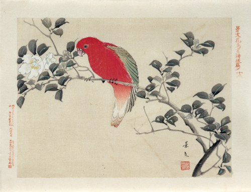 Kioto), Czerwona papuga, wyd. Aoki Kôsaburô, Japonia/Osaka, 1892, Keibun Matsumura