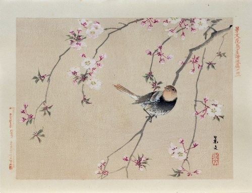 Kioto), Ptaszek i kwitnąca wiśnia, wyd. Aoki Kôsaburô, Japonia/Osaka, 1892, Keibun Matsumura