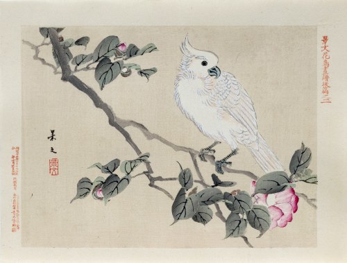 Kioto), Biała kakadu na gałęzi kamelii, wyd. Aoki Kôsaburô, Japonia/Osaka, 1892, Keibun Matsumura