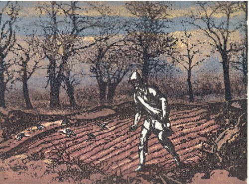 Aleja akacjowa, więcej: Ewangelia wg. Mateusza 13, 1-9, 18-23, Witold Warzywoda
