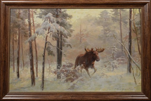 Łoś w kniei, Franciszek Zygmuntowicz