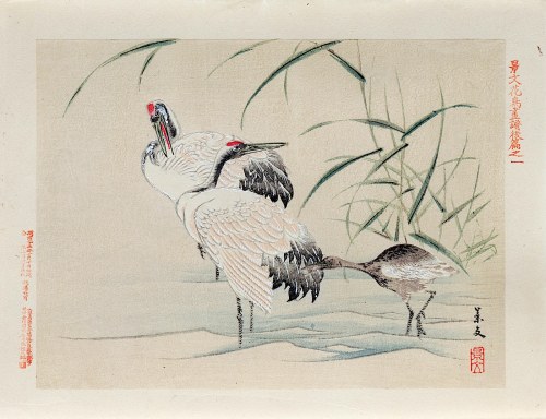 Kioto), Żurawie, wyd. Aoki Kôsaburô, Japonia/Osaka, 1892 r., Keibun Matsumura