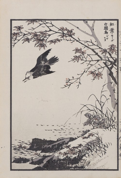 Ptak białogłowy i jesienne liście klonu, z serii: „Hobun gafu”, wyd. Tanaka Jihē, Kioto/Japonia, 1890 r., Kikuchi Hobun