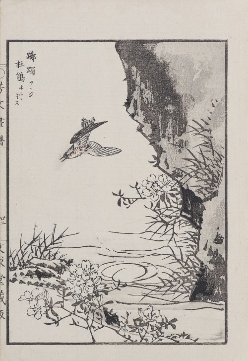 Kukułka i azalia, z serii: „Hobun gafu”, wyd. Tanaka Jihē, Kioto/Japonia, 1890 r., Kikuchi Hobun