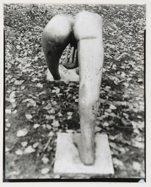 Z cyklu: Wiedeń, 2014, Krzysztof Jabłonowski