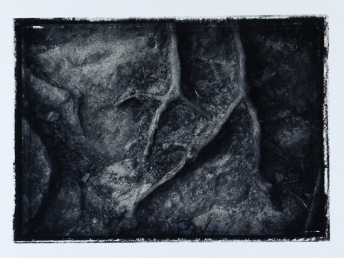 Determinacja VII, 2009, Mariusz Wideryński