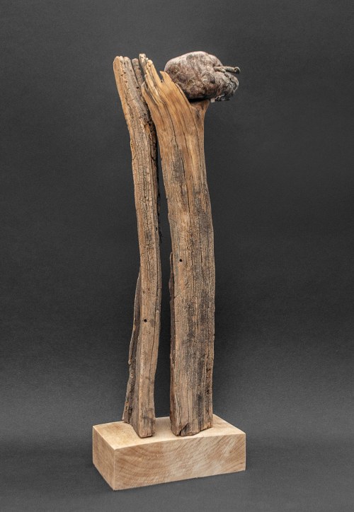 Jabłoń, 2019 r., Rastislav Stepaniuk