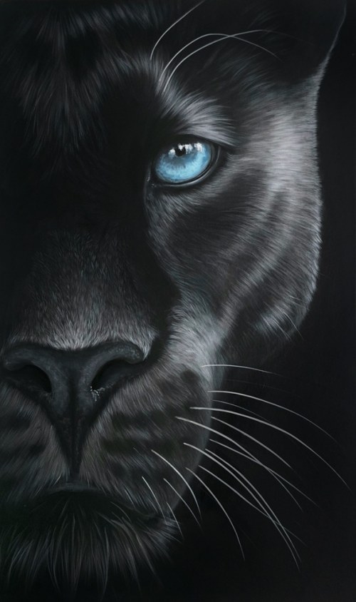 Ayo z cyklu Wild Eyes, 2025, Paulina Wróblewska