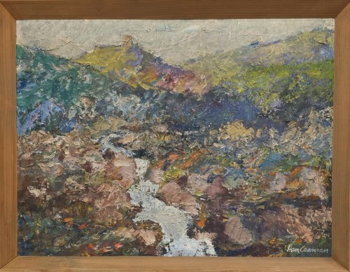 Karkonosze Widok na Chojnik, 1976, Henryk Czaman