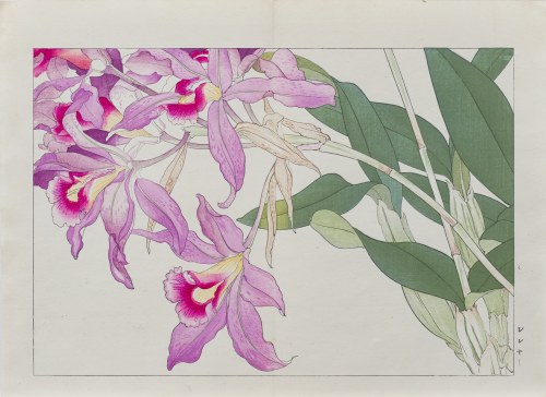 Laelia, wyd. Unsodo, Kioto/Japonia, 1917 r., Tanigami Konan