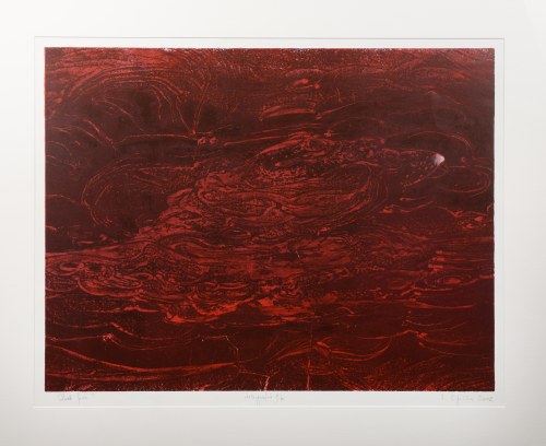 Red fish, 2002, Henryk Opałka