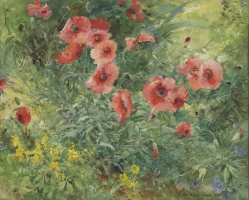 Martwa natura z kwiatem maku, Oldřich Blažíček