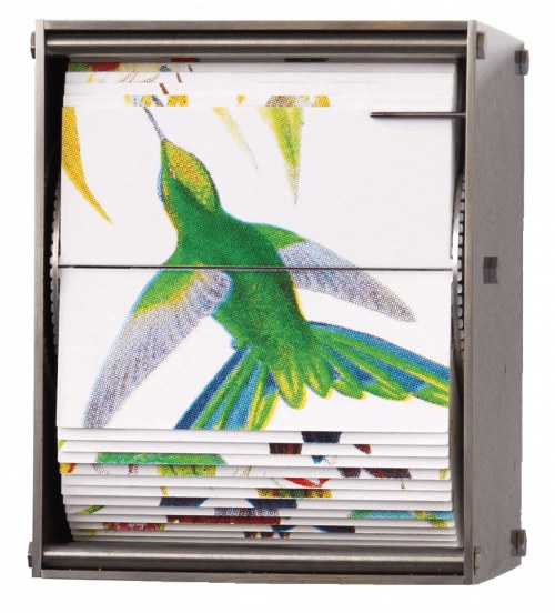 Ornithology L, 2018, Juan Fontanive