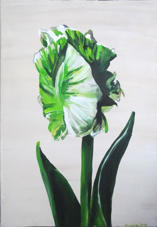 45. Tulipan 20, 2019, No Name