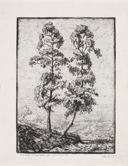 Drzewa, lata 20./30. XX w, Wacław Waśkowski