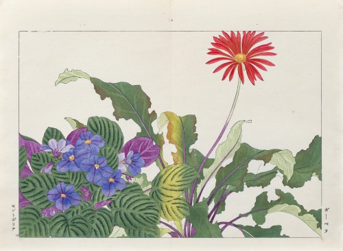 Fiołek i gerbera, wyd. Unsodo, Kioto/Japonia, 1917 r., Tanigami Konan