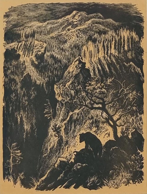 Niedźwiedź, 1938 r., Zofia Fijałkowska