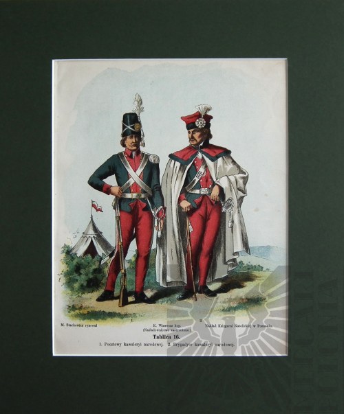 Wojsko Polskie Kościuszki, 1894, Michał Stachowicz