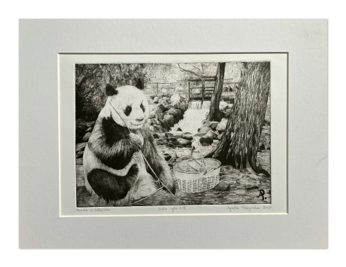 Panda w Gdańsku, 2023 rok, Agata Perzyńska