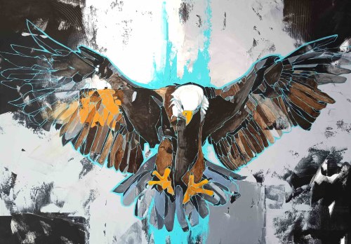 Haliaeetus leucocephalus (Orzeł), 2023, Sylwia Wenska