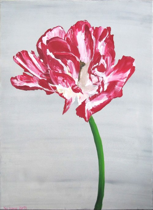 47. Tulipan postrzępiony 2, z cyklu: "Awangarda bzy maluje 2" 2019, No Name