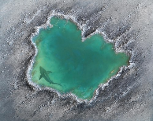 Laguna Farsa, 2019, Izabela Olszyna