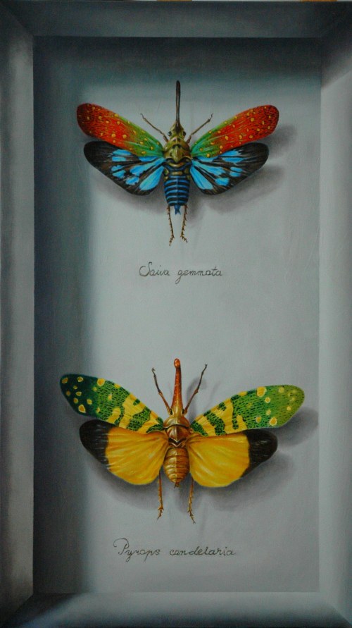 S.g , P.c, 2018, Michał Spryszyński