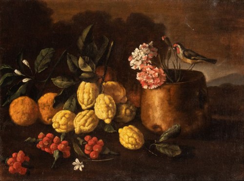 1631-1710) (ambito di), Martwa natura z cytrynami, truskawkami i małym ptaszkiem, Giuseppe Ruoppolo