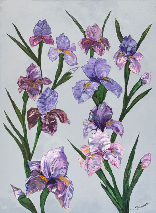 Irysy, 2013, Lilia Fijałkowska