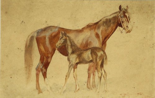 Konie, 1907, Franciszek Zajchowski