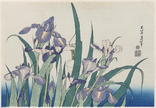 Irysy i świerszcz, wyd. Adachi, Tokio/Japonia, 1972 r., Katsushika Hokusai