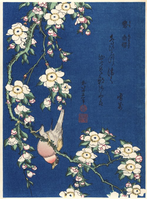 Gil i płacząca wiśnia, wyd. Adachi, Tokio/Japonia, 1972 r., Katsushika Hokusai